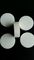 Yttria Stablilized Alumina Ceramic Disc Zirconia Ceramic Sheet Round Block